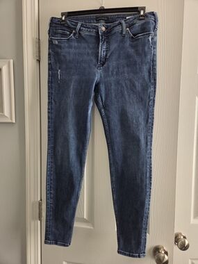Silver Jeans Women's Indigo Skinny Jeans